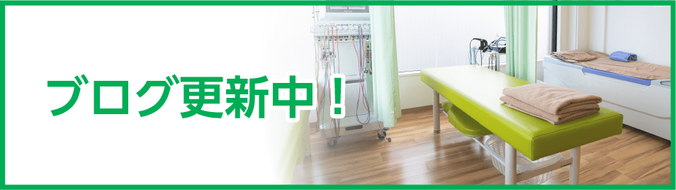 ブログ更新中
